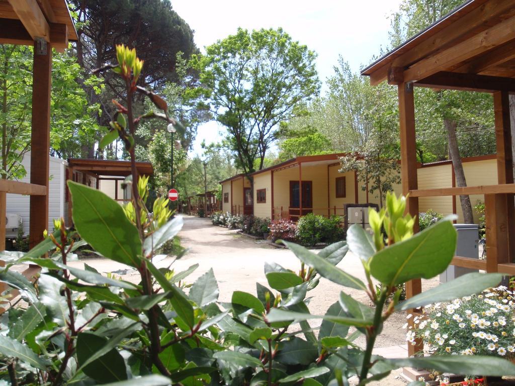 Campeggio Boscoverde Torre del Lago Puccini Ngoại thất bức ảnh