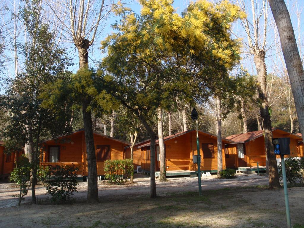Campeggio Boscoverde Torre del Lago Puccini Ngoại thất bức ảnh