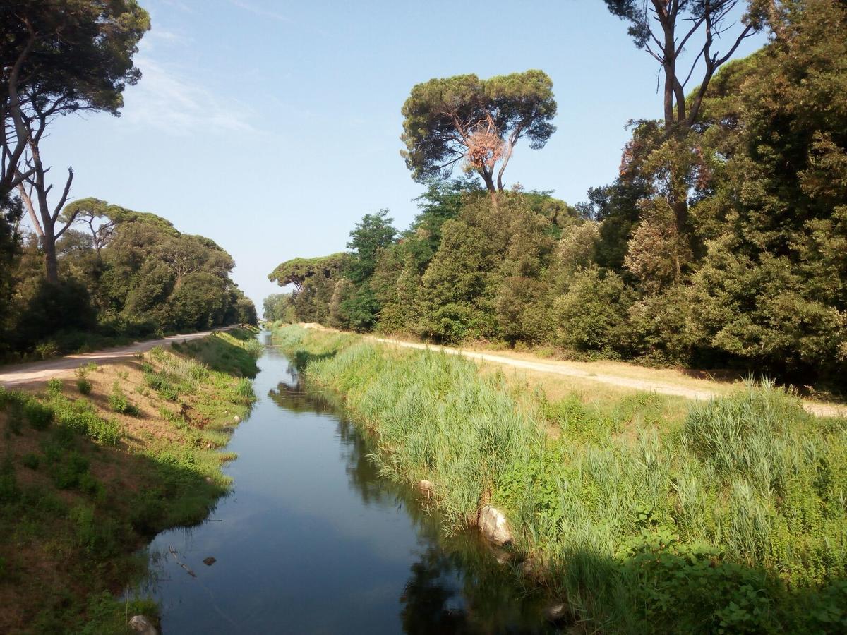Campeggio Boscoverde Torre del Lago Puccini Ngoại thất bức ảnh