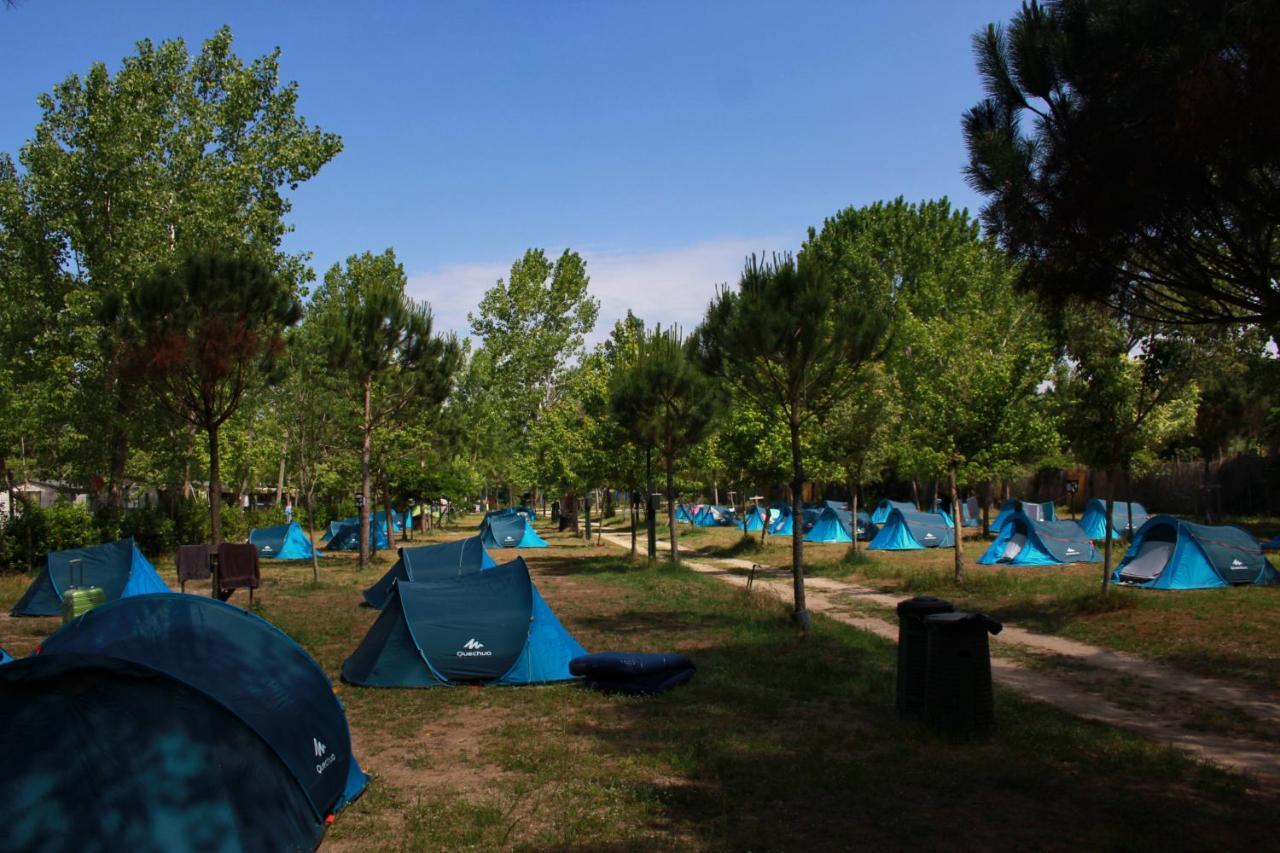 Campeggio Boscoverde Torre del Lago Puccini Ngoại thất bức ảnh