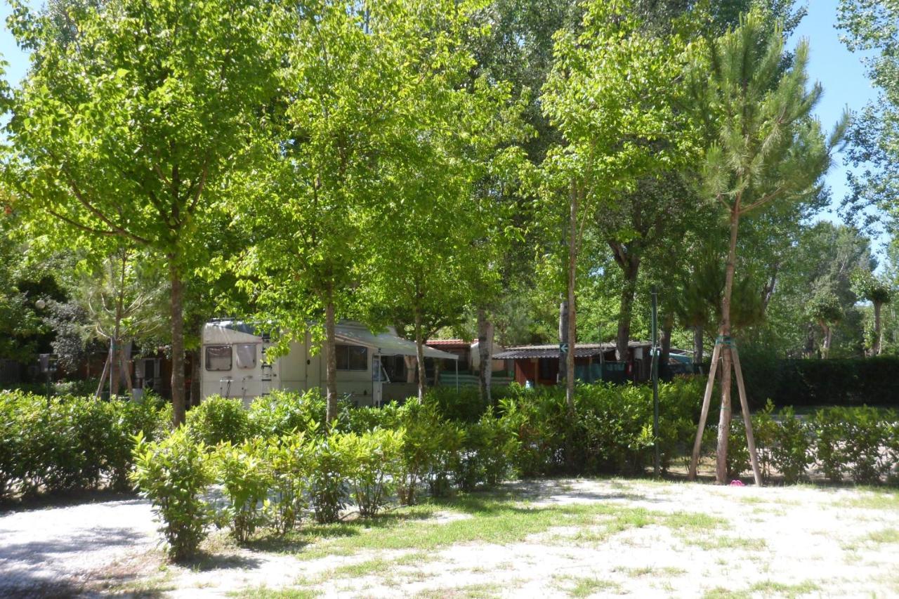 Campeggio Boscoverde Torre del Lago Puccini Ngoại thất bức ảnh